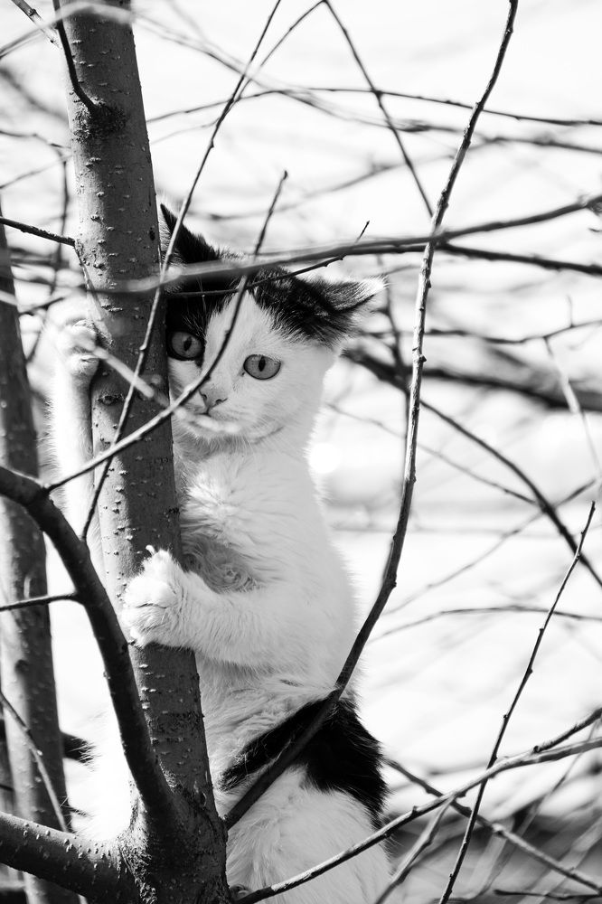 У страха глаза велики