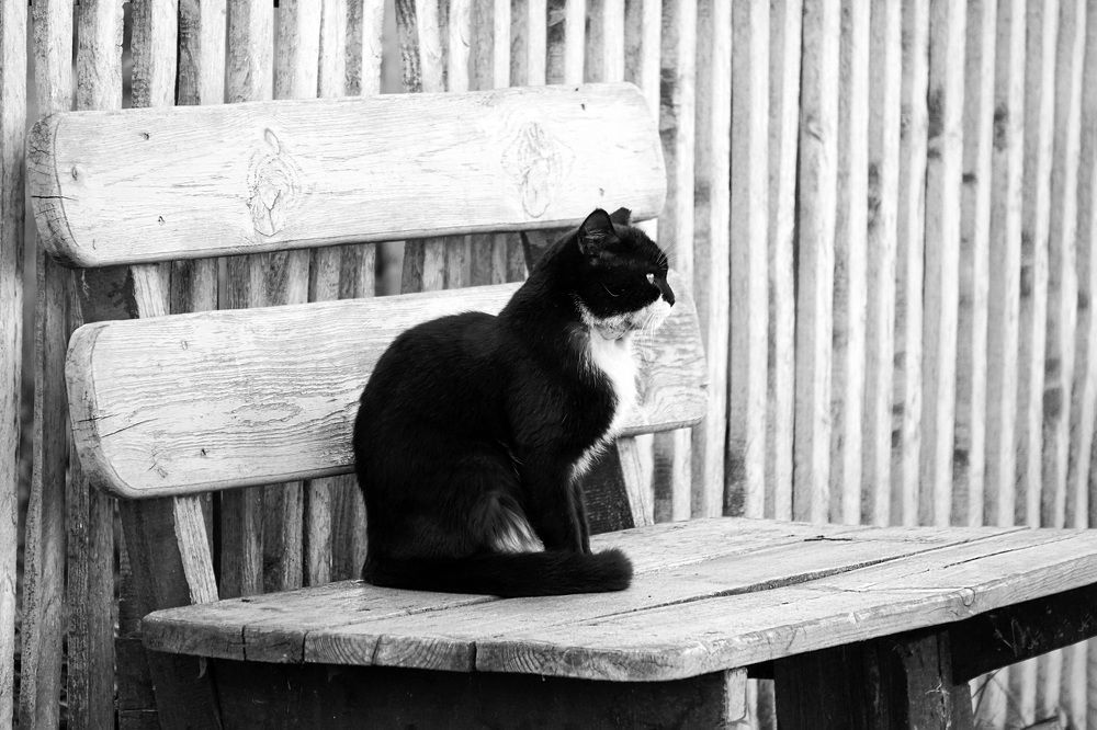 Спокойствие