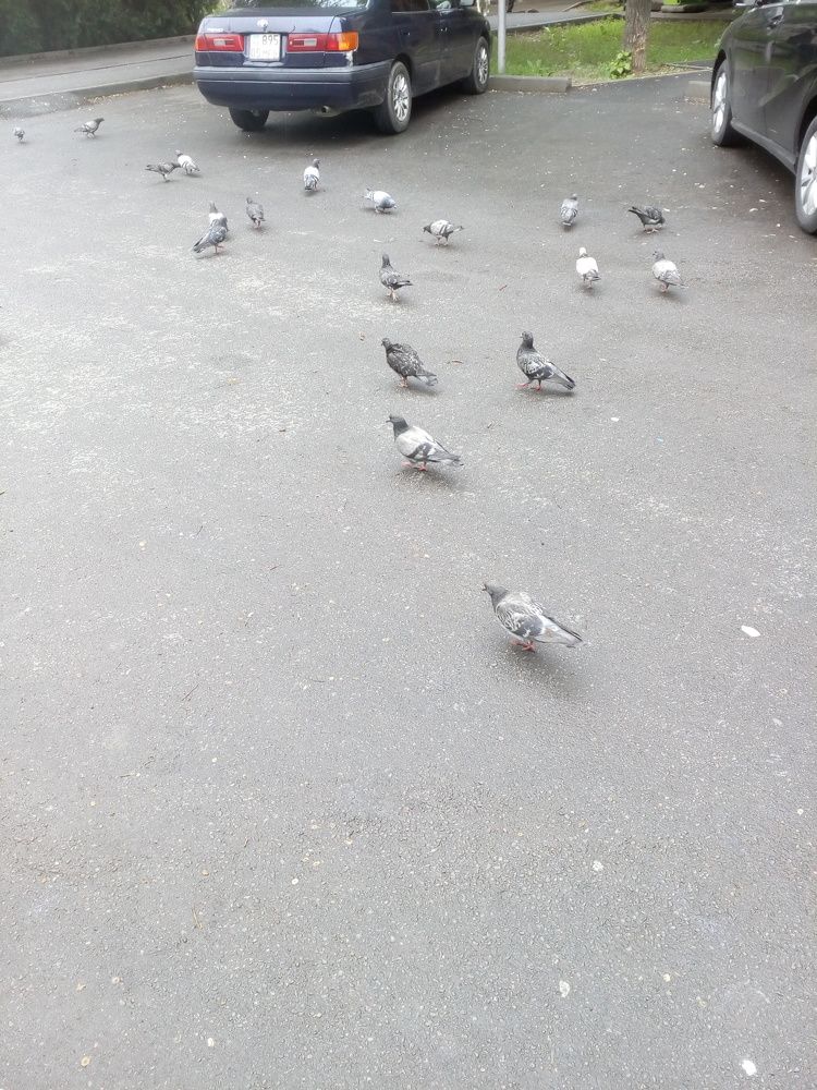 Photograph by Владислав Степанов