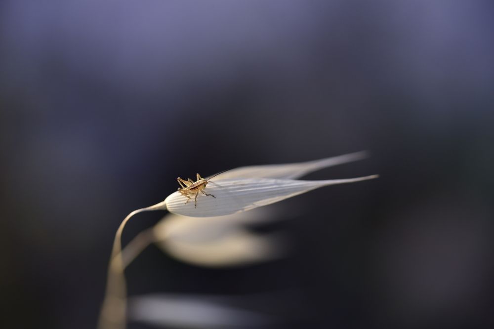 Photograph by Татьяна Колногоров