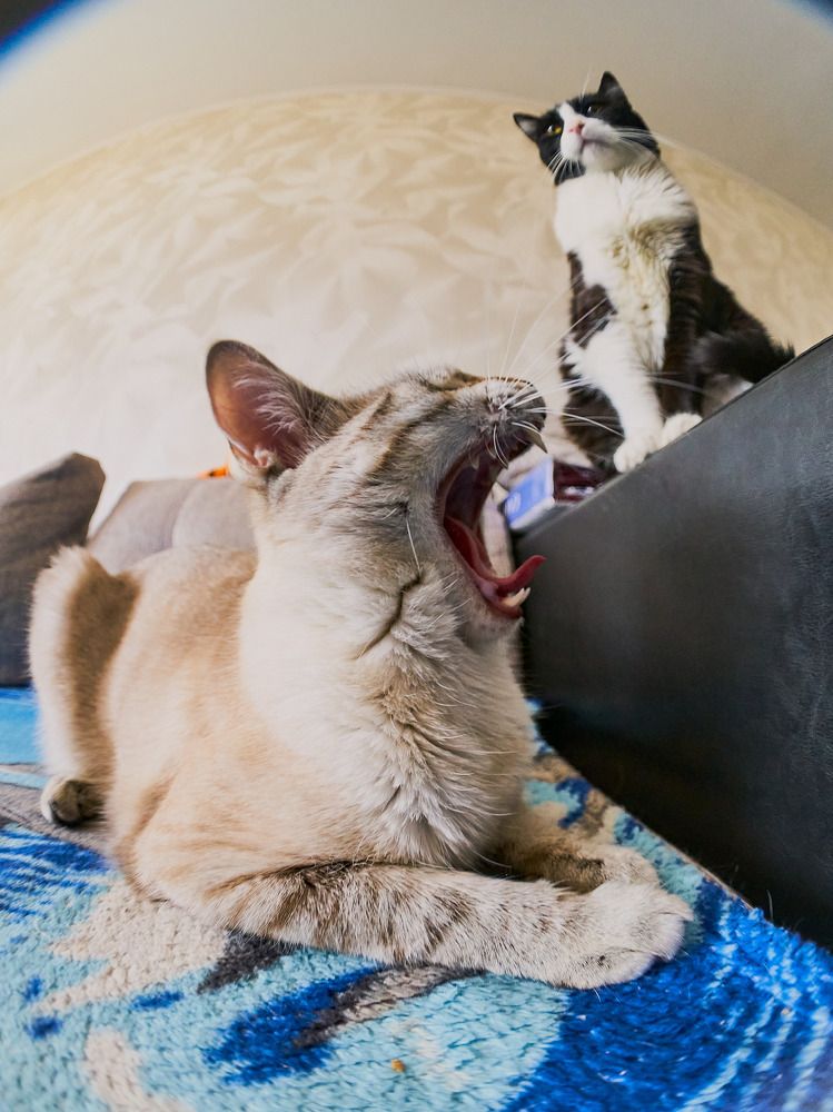 Фотография автора Вагуро Евгений