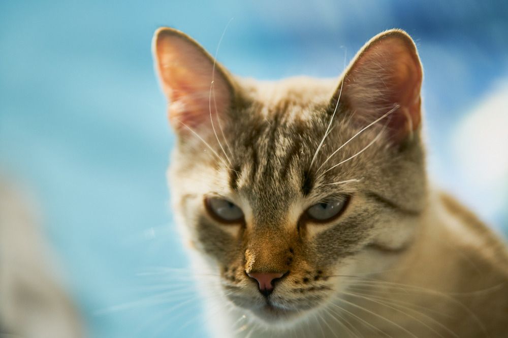 Фотография автора Вагуро Евгений