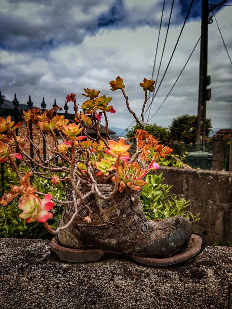 Фотография автора Nuno Pacheco