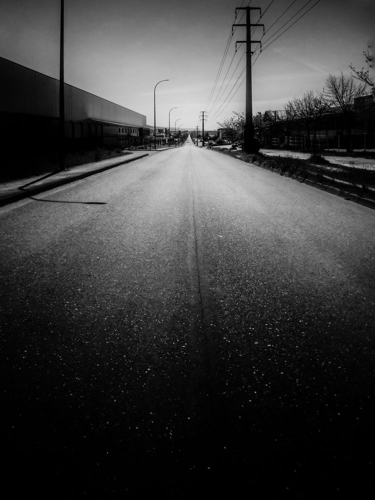 Фотография автора Nuno Pacheco