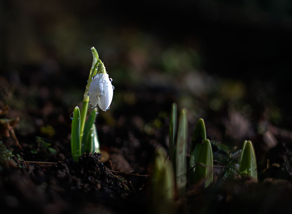 Photograph by LYUDMYLA POKRYSHEN