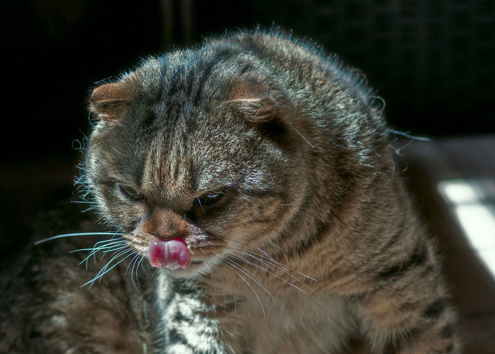 Photograph by Сергей Кириллов