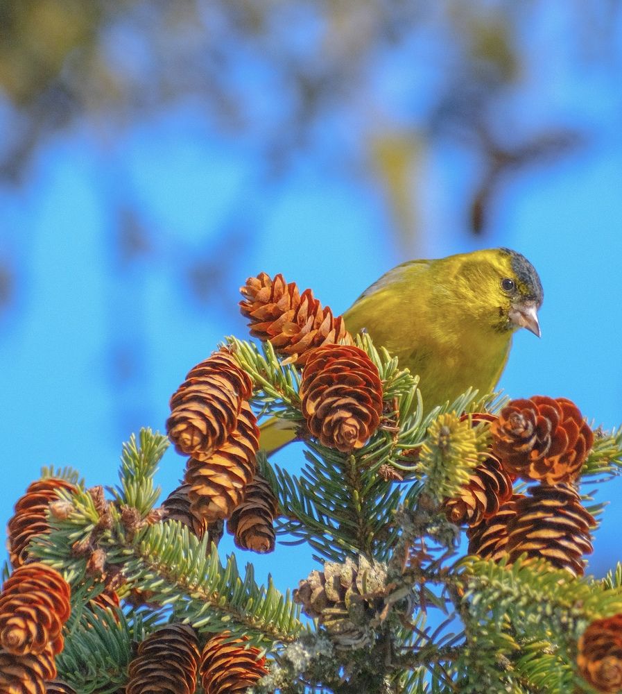 Photograph by Алексей Большаков