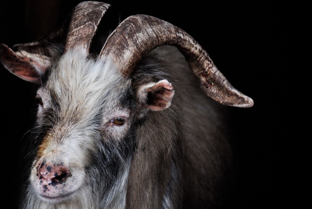 Photograph by Дмитрий Балатский