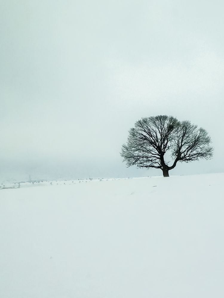 Photograph by Rohola Khodadadi