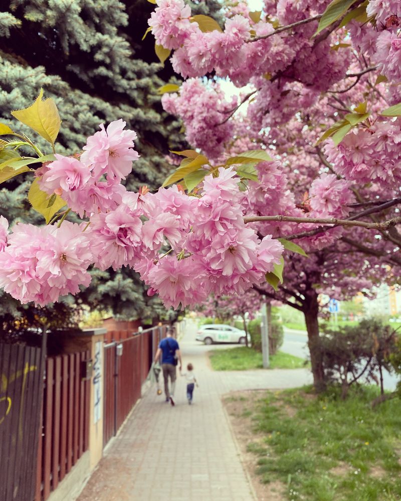 Photograph by Yana Ofitserova