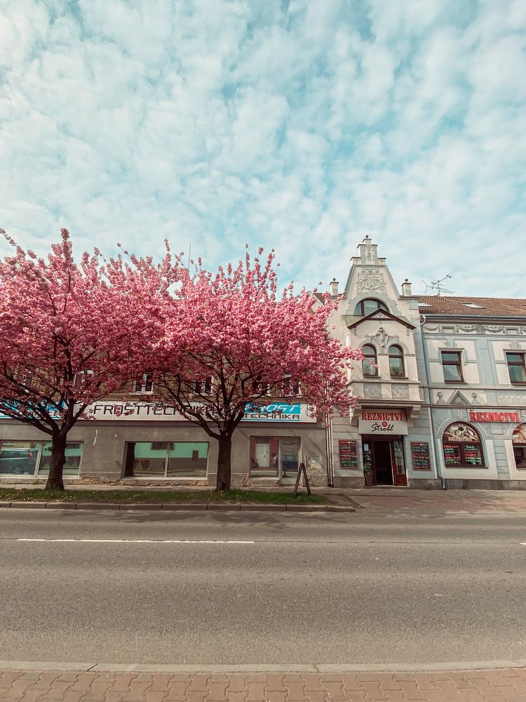 Photograph by Yana Ofitserova