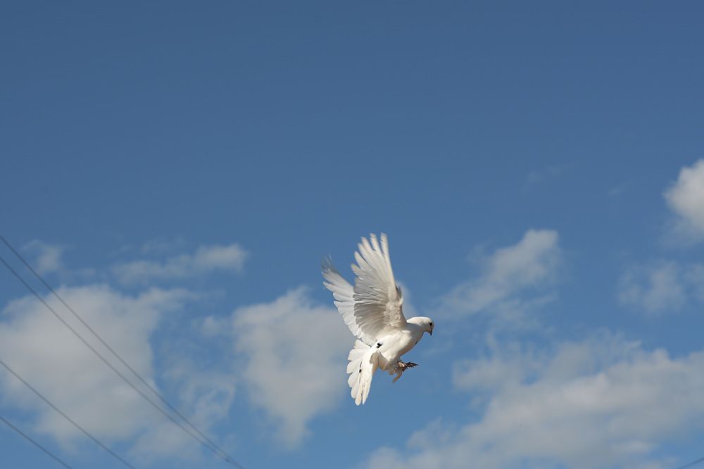 Photograph by Наталья Цуканова