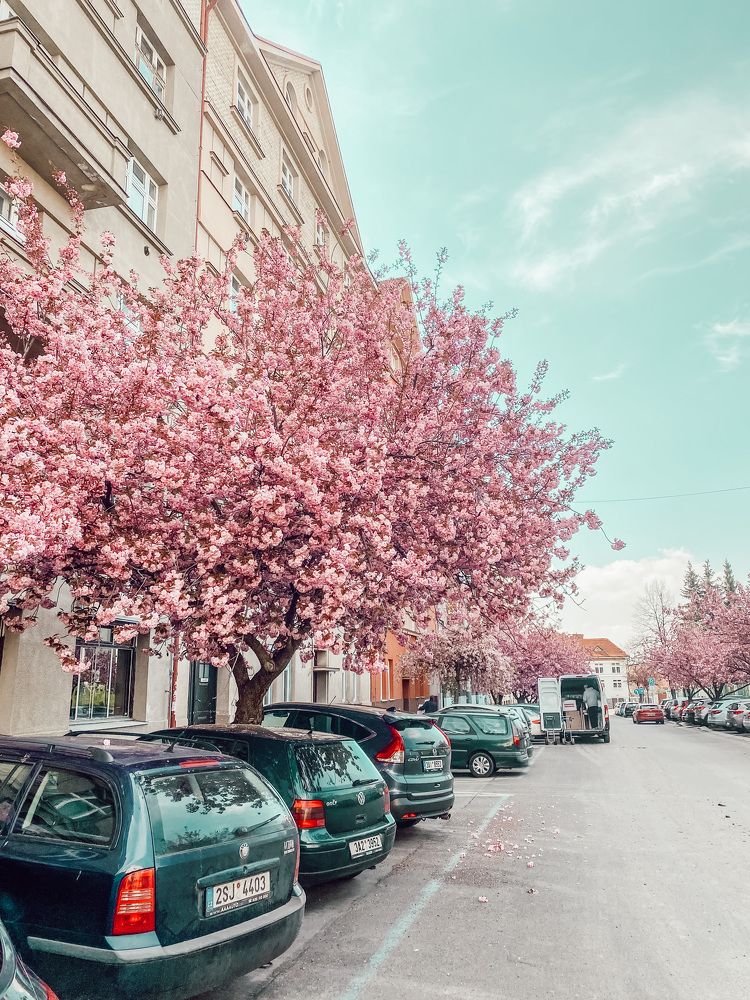 Photograph by Yana Ofitserova