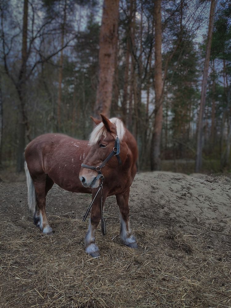 Photograph by Гагик Давтян