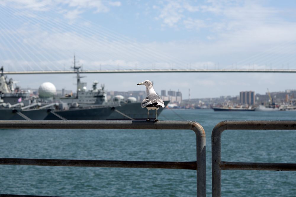 Photograph by Наталья Цуканова