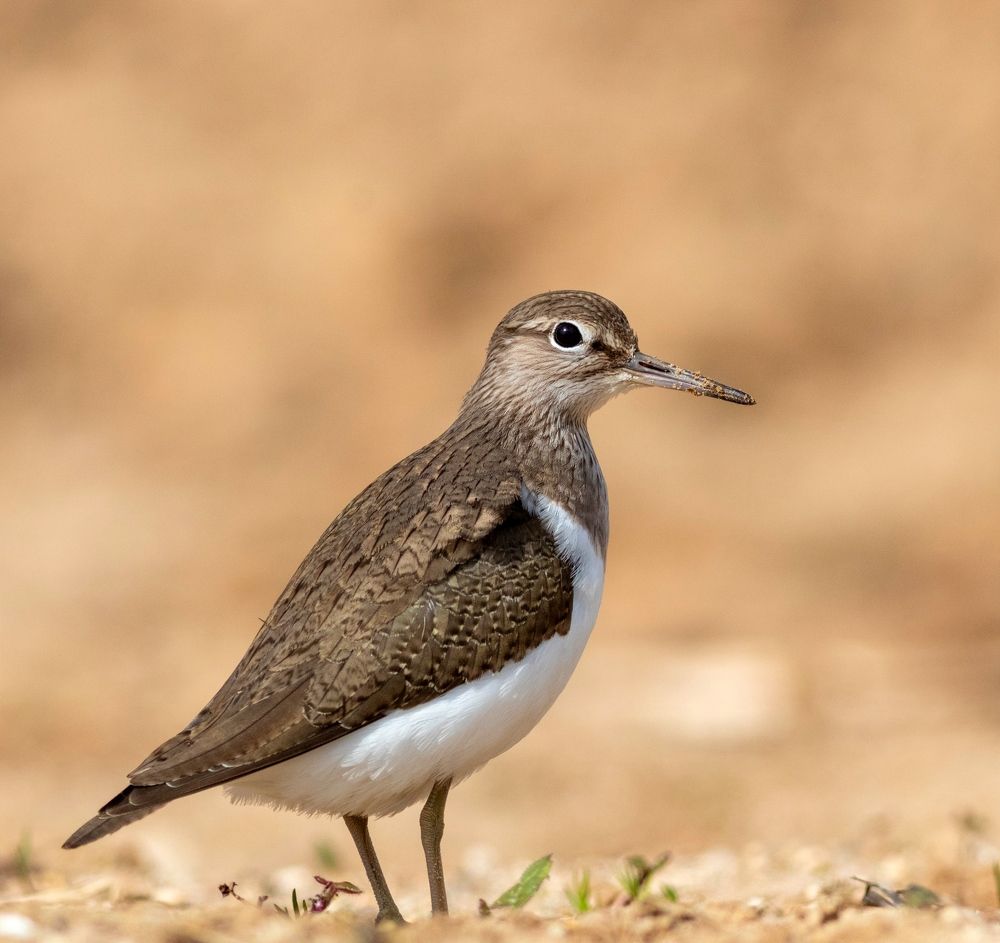 Photograph by Павел Краснослободцев