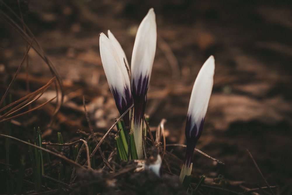 Photograph by Ольга