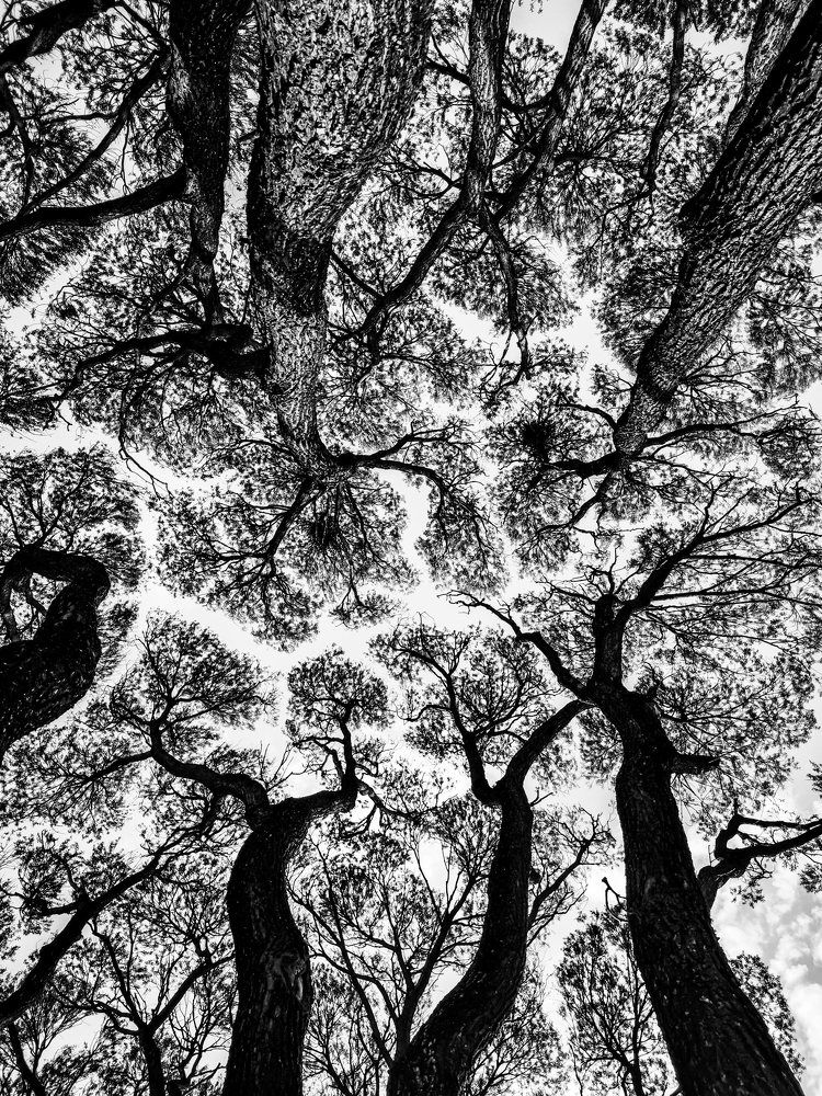 Фотография автора Наталья