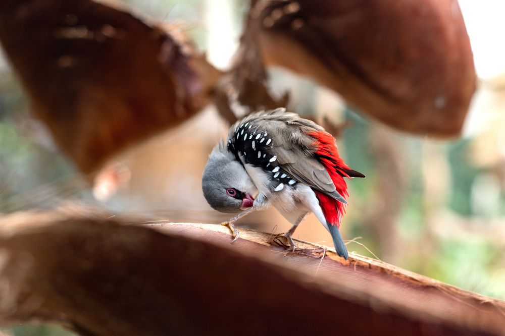 Фотография автора Наталья