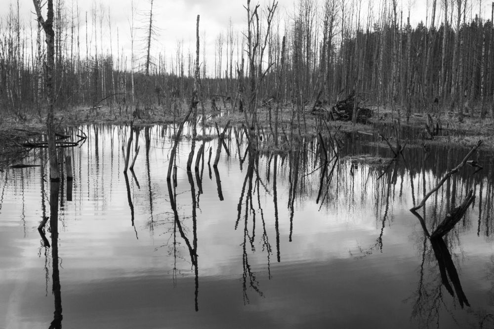 Photograph by Nadezhda Bakina