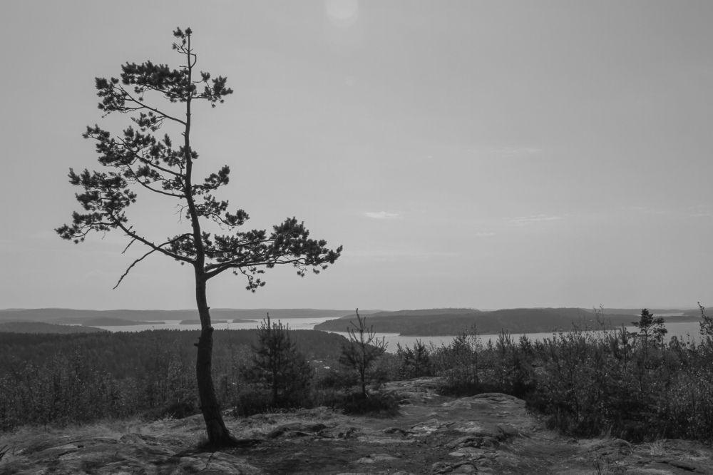 Photograph by Nadezhda Bakina