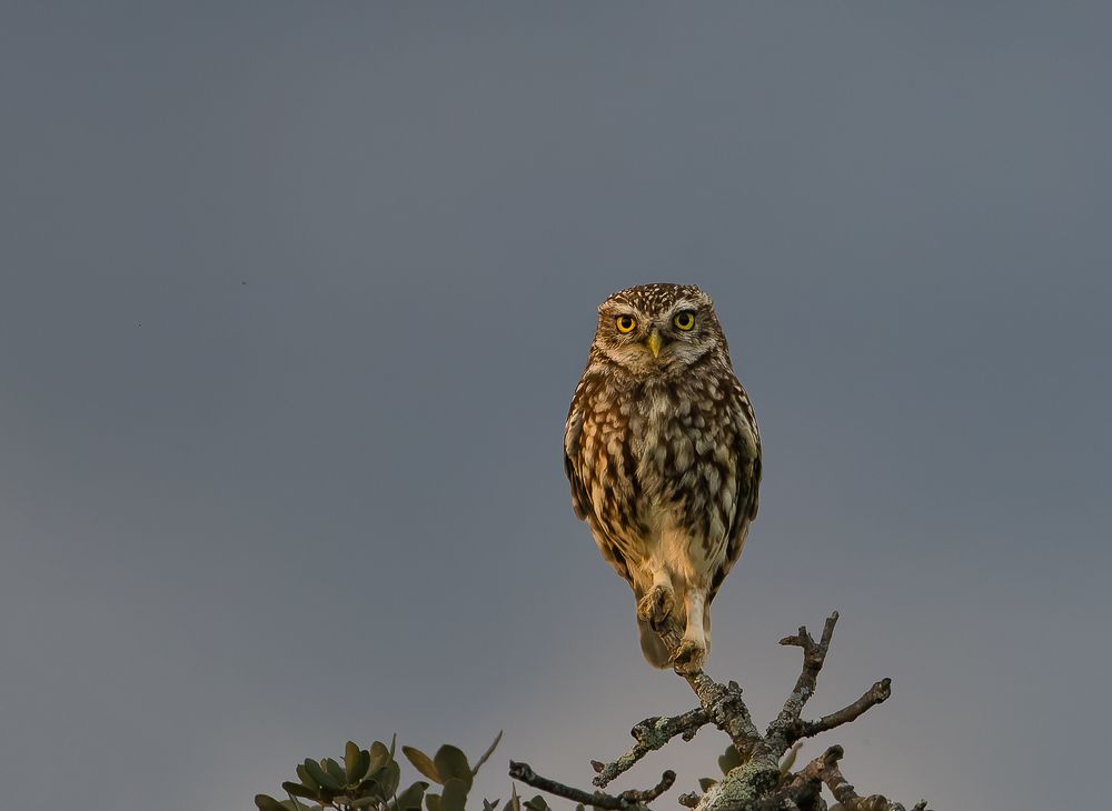 Photograph by Luis Miguel Rivas