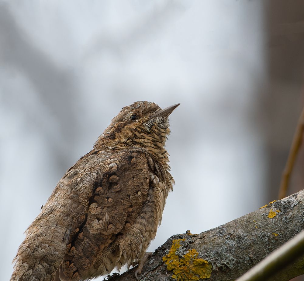 Photograph by Luis Miguel Rivas