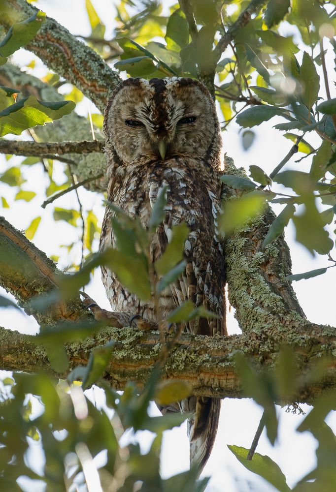 Photograph by Luis Miguel Rivas