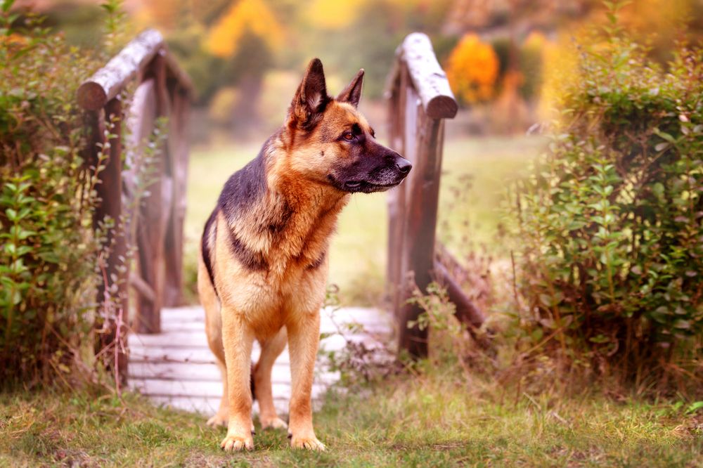 Photograph by Nataliya Nazarova