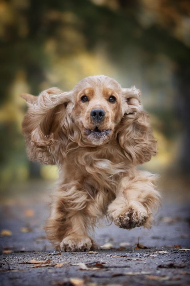 Photograph by Алена Райфутдинова