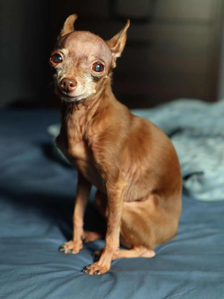 Photograph by Екатерина Слепнева