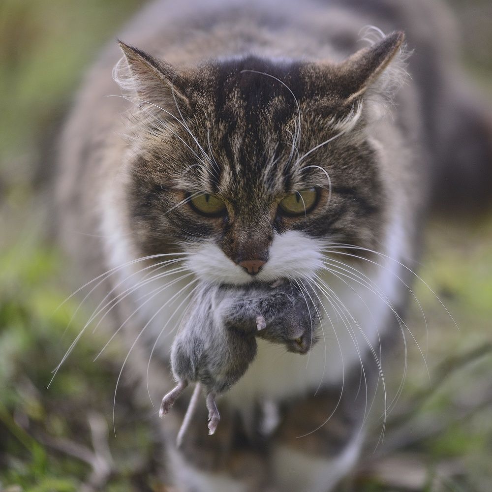 Photograph by Татьяна