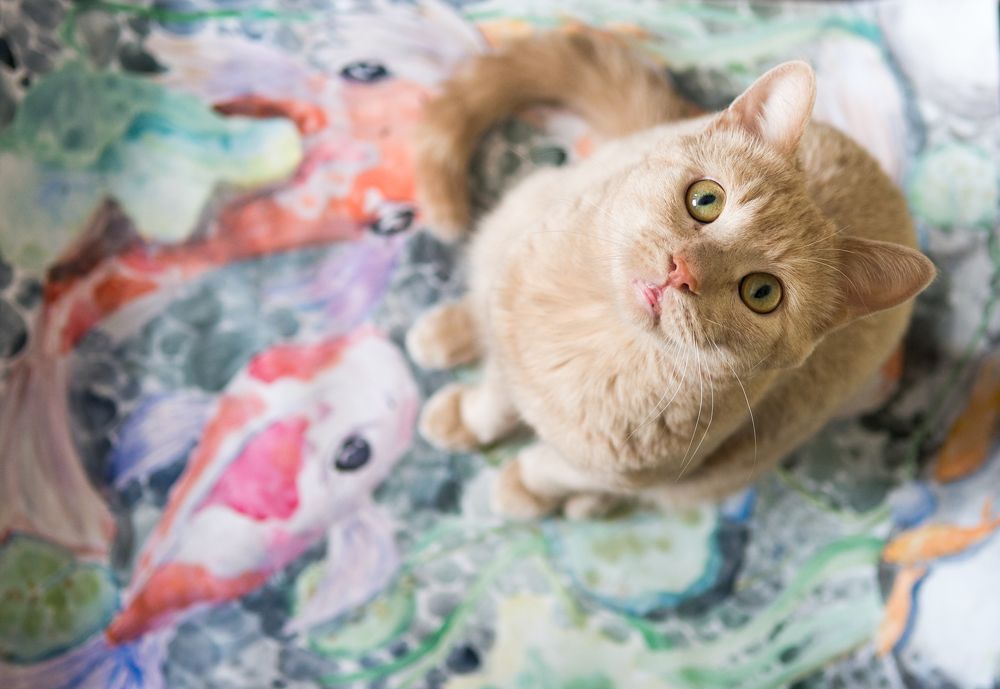 Photograph by Юлия Барсукова