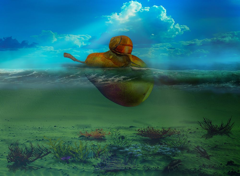 Photograph by Виктор Холодов