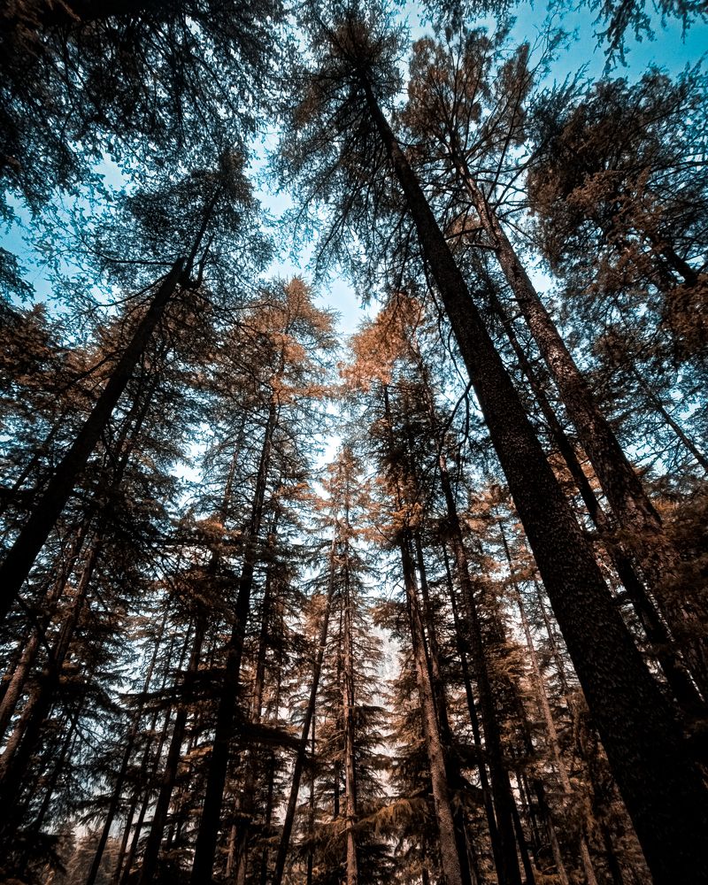 Photograph by Ayush Tripathi