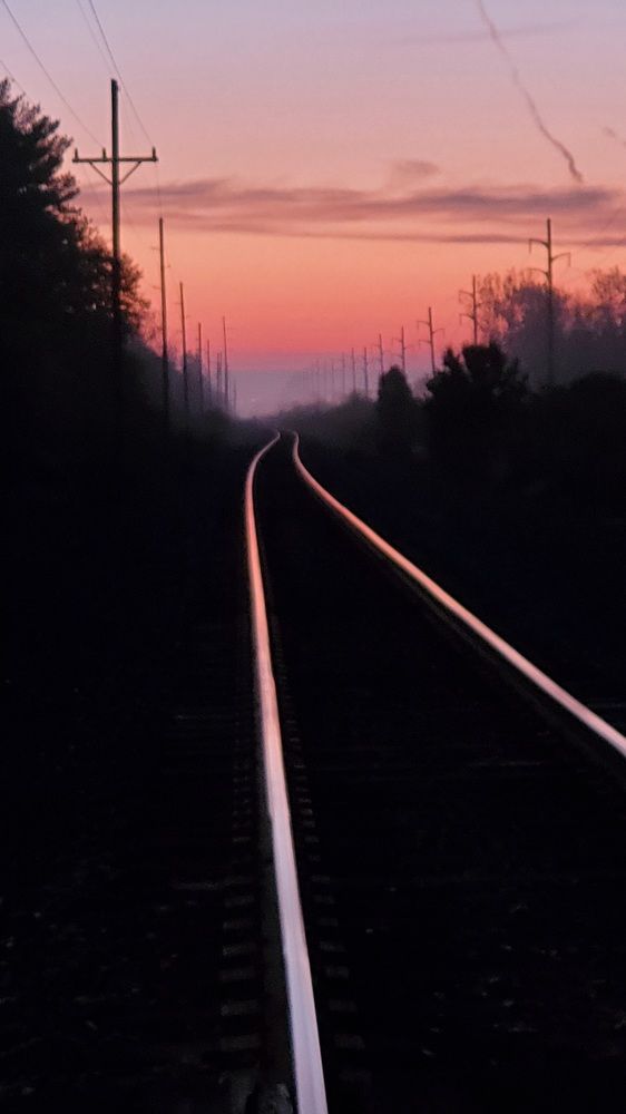 Photo #7543002
