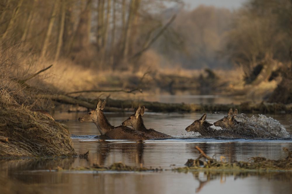 Photograph by Krzysztof Korc