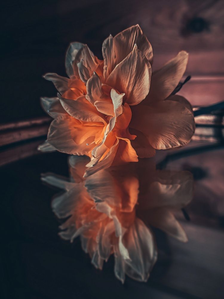Фотография автора Ольга Савочкина