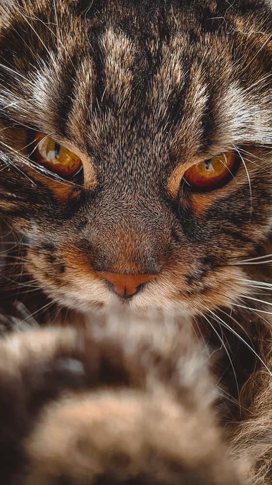 Photograph by Виктор Литошик