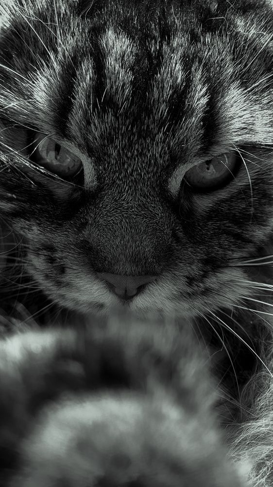 Photograph by Виктор Литошик