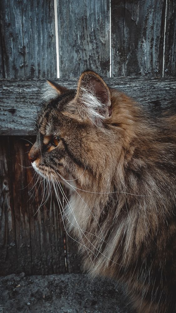 Photograph by Виктор Литошик