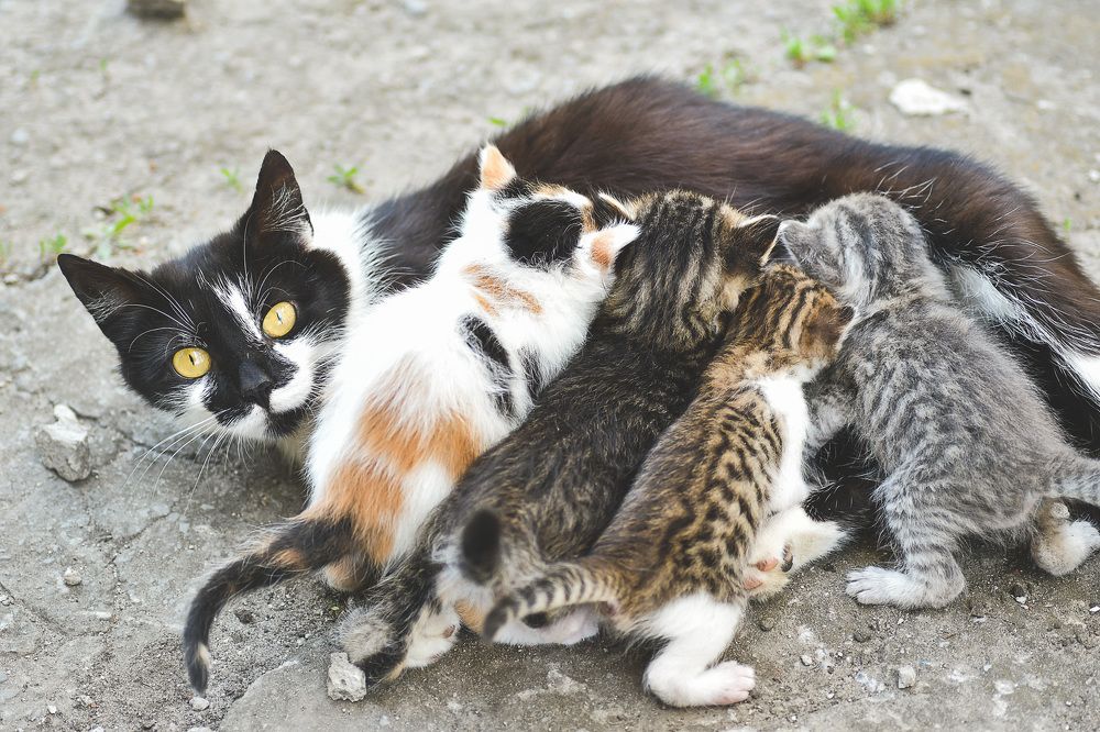 Фотография автора Билан Виктория