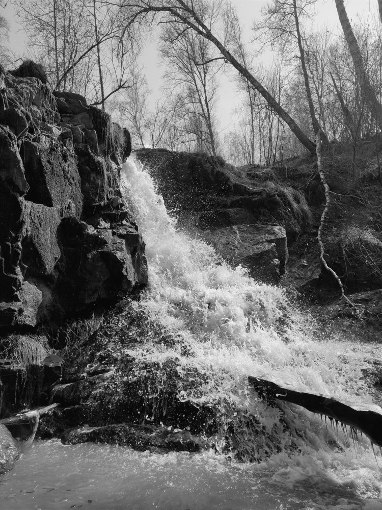 Photo #7543065