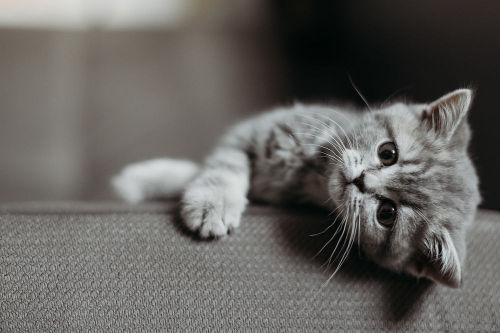 Photograph by Инесса Юровских