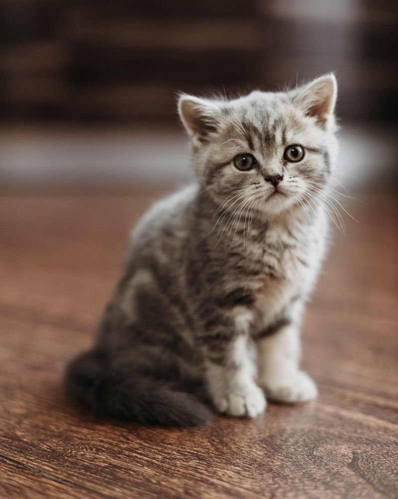 Photograph by Инесса Юровских