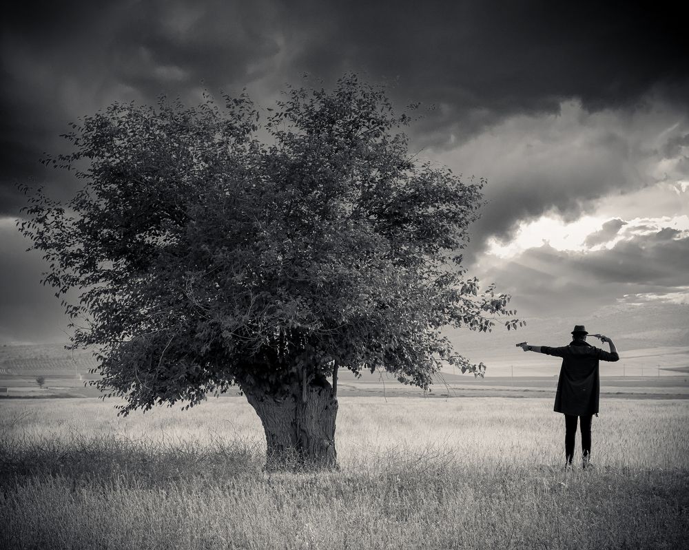 Photograph by ehsan moradi