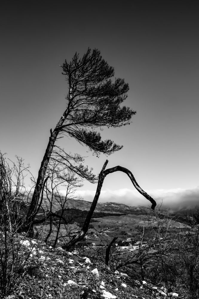 Photograph by Teresa MoliNaro