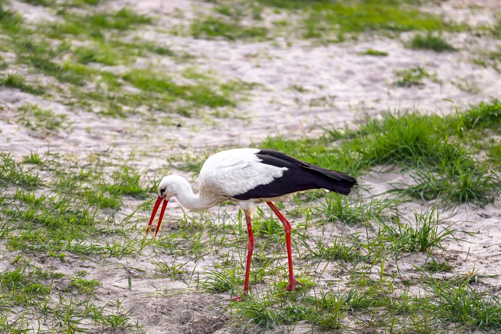 Photograph by Адриана