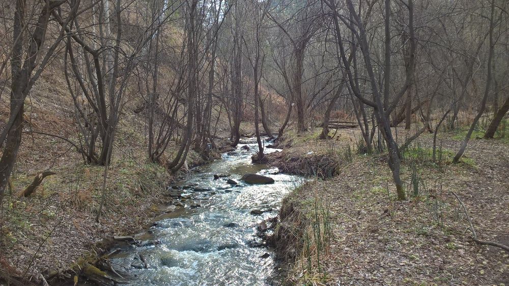 Photo #7543260