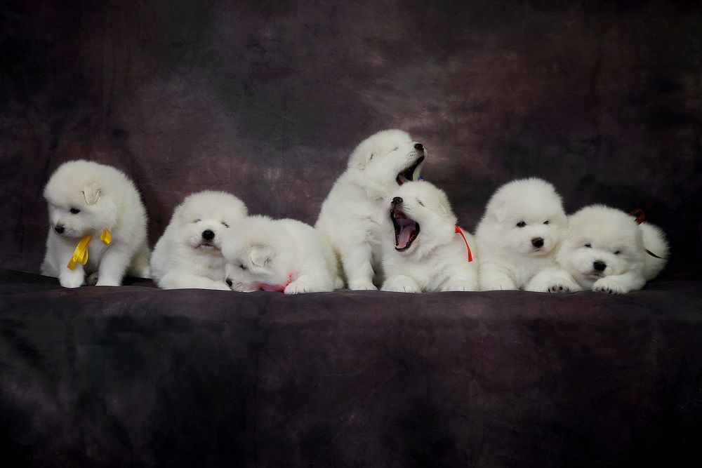 Фотография автора Владимир Куликов